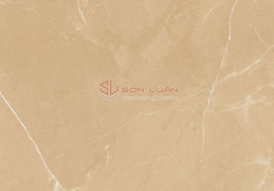 Gạch Ốp Lát APODIO 61232002